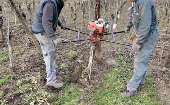 Cette semaine nous réparons le vignoble !