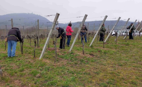 Présentation des membres du domaine