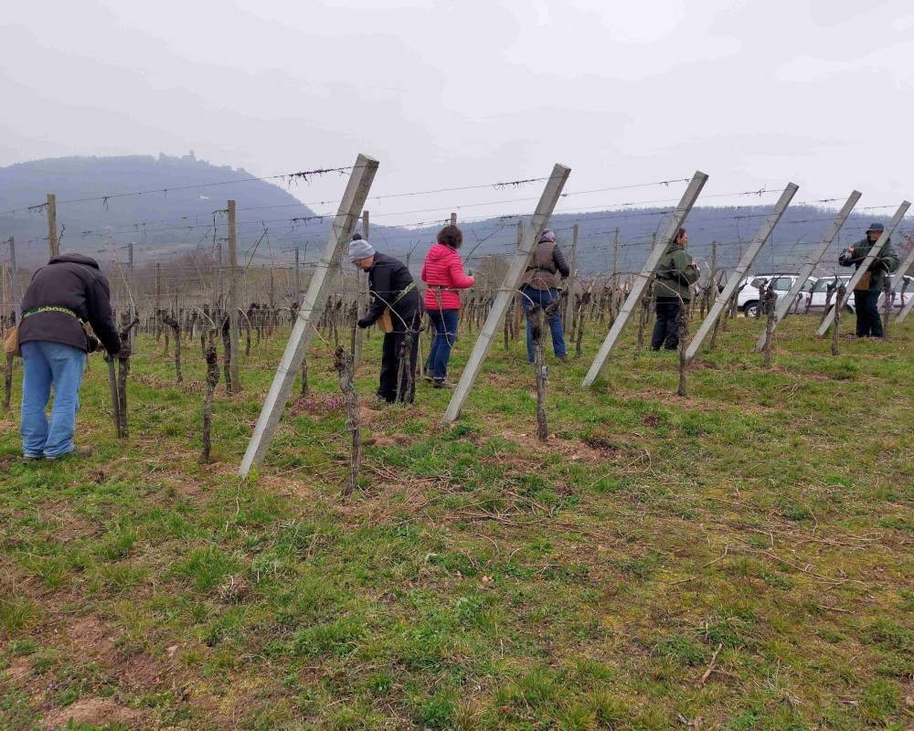 Présentation des membres du domaine