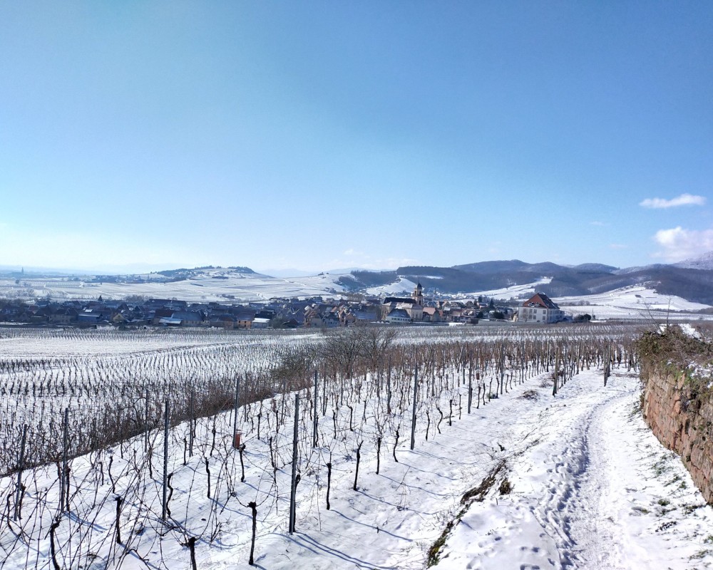 La neige est arrivée en Alsace !